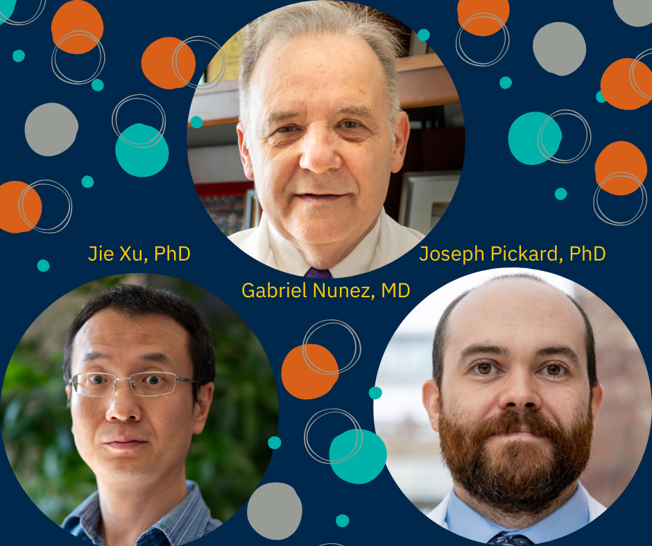 Drs. Jie Xu, Gabriel Nunez and Joseph Pickard